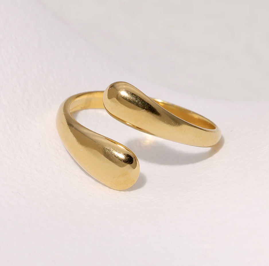 Geometric Open Ring